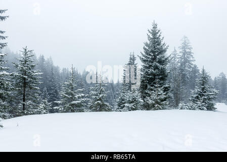 In inverno la zona Gantrisch, Berner Oberland Foto Stock