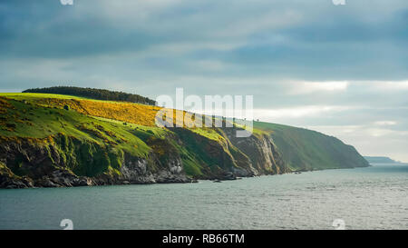 Il Cromarty Firth litorale vicino a Invergordon, Sootland, Regno Unito, Europa. Foto Stock