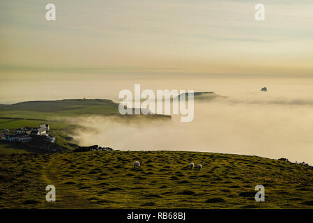 Banco di nebbia la laminazione in Rhossili Bay. Aprile 2015. Credito: Phillip Roberts Foto Stock