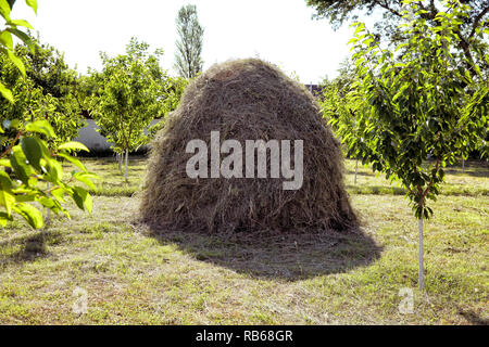 Punto di vista su un paesaggio del monte Bobija, colline, haystacks, prati e alberi colorati . Close-up di un unico grande pagliaio vicino bosco verde nella stagione estiva. - Immagine Foto Stock