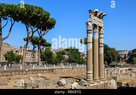 Le colonne delle rovine del tempio di Venere Genitrice, Roma, Italia Foto Stock