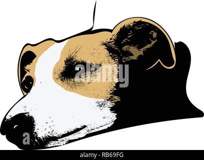 Arte vettoriale di beige e bianco whippet testa in appoggio con testa teso. Illustrazione Vettoriale
