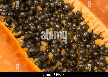 In prossimità di una papaia semi Foto Stock