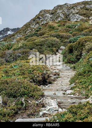 Sealy Tarns via stelle, Aoraki, Mount Cook, Nuova Zelanda, NZ Foto Stock