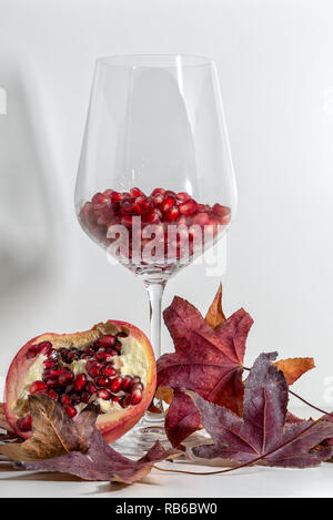 Vista del melograno rosso su foglie di acero Foto Stock