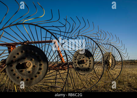 Vecchio rastrello di fieno in un campo di agricoltori al tramonto contro un cielo blu Foto Stock