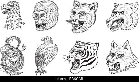 Testa di animale selvatico predatore. Puma Wolf Fox Tiger Eagle Falcon muso di scimmia e il Drago Cinese. Stile giapponese ritratti. Disegnato a mano monocromatico inciso vecchio bozzetto per i logo retrò. Close up. Illustrazione Vettoriale