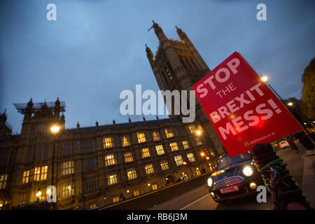 Westminster, Londra, Regno Unito. Il 7 gennaio 2019. Anti Brexit manifestanti demonstate fuori le case del Parlamento Credito: George Wright Cracknell/Alamy Live News Foto Stock