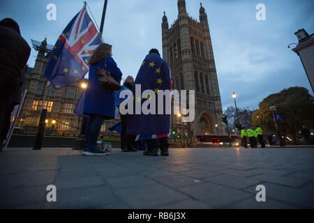 Westminster, Londra, Regno Unito. Il 7 gennaio 2019. Anti Brexit manifestanti demonstate fuori le case del Parlamento Credito: George Wright Cracknell/Alamy Live News Foto Stock