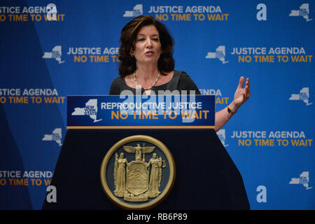 New York, Stati Uniti d'America. Il 7 gennaio, 2019. Il luogotenente governatore Kathy Hochul parla di giustizia riproduttiva presso il Barnard College di New York. 07 Jan 2019 Credit: Erik Pendzich/Alamy Live News Foto Stock