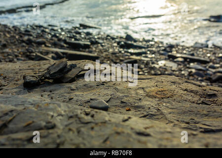 Fotografia creativa in orientamento orizzontale si è focalizzata su ammonita fossili del corpo con spiaggia e acqua in background con pesanti bokeh di fondo. Prese a Kimmeridg Foto Stock