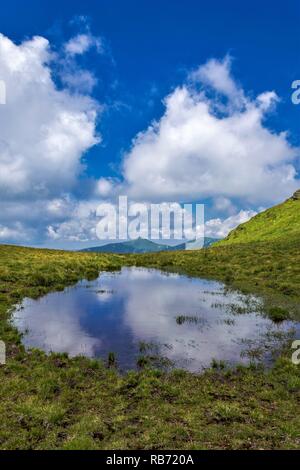 Sulla strada per Midzor, vecchia montagna, Serbia Foto Stock
