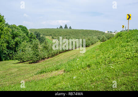 Meleto in Wisconsin rurale Foto Stock