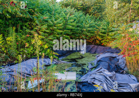 Il paesaggio rurale in Wisconsin Foto Stock