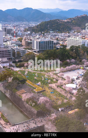 Shizuoka dello skyline della città con la fioritura dei ciliegi (castello Sunpu park) Foto Stock