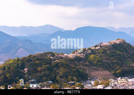 Shizuoka dello skyline della città con la fioritura dei ciliegi (castello Sunpu park) Foto Stock