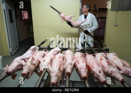 L uomo si prepara un maialino per cucinare in Portoghese tradizionale regione di Bairrada modo inserendolo in uno spiedo e nel forno, Mealhada, Portogallo Foto Stock