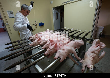 Un uomo prepara i suinetti per la tostatura in Portoghese tradizionale regione di Bairrada, Mealhada, Portogallo Foto Stock