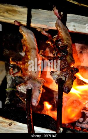 Grigliata di Cuy - comunità contadina ristorante - Llanganuco lagune - Parco Nazionale HUASCARA. Dipartimento di Ancash.PERÙ Foto Stock