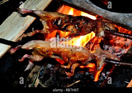 Grigliata di Cuy - comunità contadina ristorante - Llanganuco lagune - Parco Nazionale HUASCARA. Dipartimento di Ancash.PERÙ Foto Stock