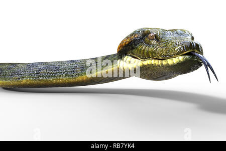 3d illustrazione Anaconda, Boa Constrictor il più grande del mondo di serpenti velenosi isolati su sfondo bianco, rendering 3D Foto Stock
