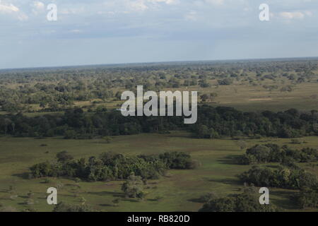 Pantanal incredibile vedere dall'aereo. Foto Stock