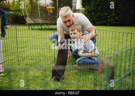 Padre e figlio inginocchiato accanto a una gabbia dove il pet coniglio è in piedi fino a fiutare le loro mani. Foto Stock