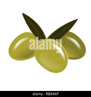 Vector Green Olive Branch con foglie isolato su bianco. Illustrazione Vettoriale