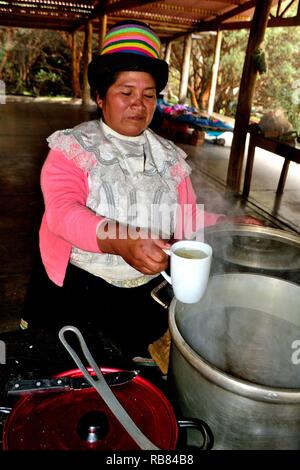 Comunità contadina ristorante - Llanganuco lagune - Parco Nazionale HUASCARA. Dipartimento di Ancash.PERÙ Foto Stock