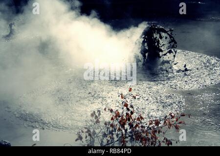 Piscine di fango Foto Stock