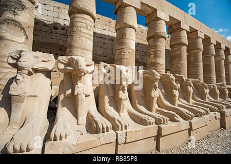 Ram intitolata avenue di sfingi di antichi egiziani Tempio di Karnak a Luxor Foto Stock