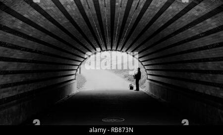 Musicista solitario al central Park di new york city Foto Stock