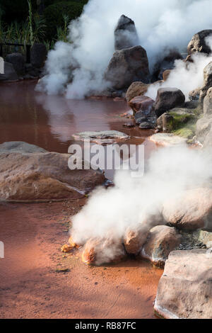 Beppu, Giappone - 2 Novembre 2018: Umi Jigoku piscina, Ocean's Inferno, un monumento naturale sull'inferno tour in Beppu Foto Stock