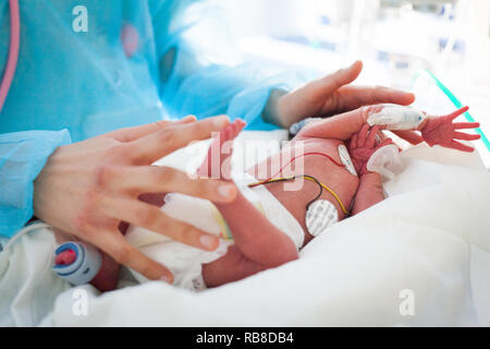 Un educatore si prende cura di un bambino prematuro. Ospedale. Aix en Provence. Foto Stock