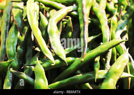 I fagioli sono migliori testate quando sono giovani e i fagioli sono pieni di nutrizione. Foto Stock