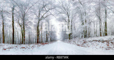Strada invernale nel bosco surgelati, panorama Foto Stock