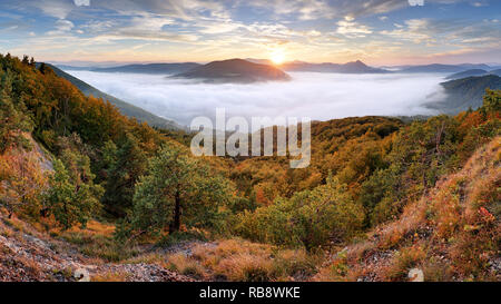 Boscoso pendio di montagna nella nebbia in un paesaggio panoramico. Foto Stock