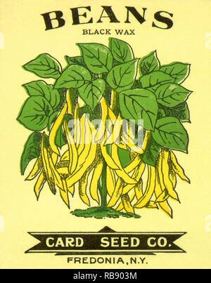 Fagioli pacchetto di sementi Foto Stock