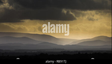 Il Cheviot Hills visto dal Foulden sulla frontiera scozzese Foto Stock