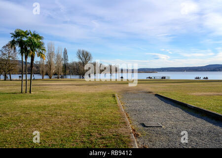 Paesaggio con palme e prato di parco pubblico di touristic storico borgo sulle rive del lago Verbano, girato in inverno brillante luce ad Angera, Verbano, Foto Stock