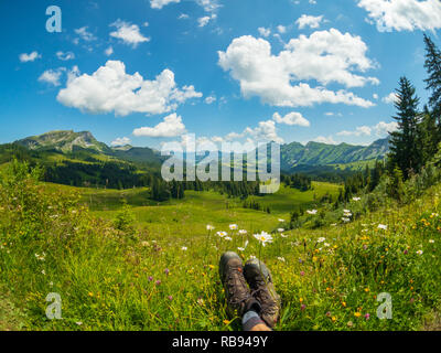 Summer time mountain nature panoramic landscape near Habkern, Switzerland Foto Stock