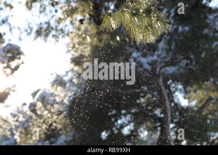 Atene, Grecia. Gen 8, 2019. Nevicata nel centro di Atene inizio il martedì mattina. (Credito Immagine: © Aristidis VafeiadakisZUMA filo) Credito: ZUMA Press, Inc./Alamy Live News Foto Stock