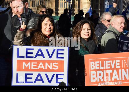 Westminster, Londra, Regno Unito. 8 Jan 2019. Pro Brexit maturità dimostrata al di fuori della sede del Parlamento, Westminster, London.UK Credit: Michael melia/Alamy Live News Foto Stock