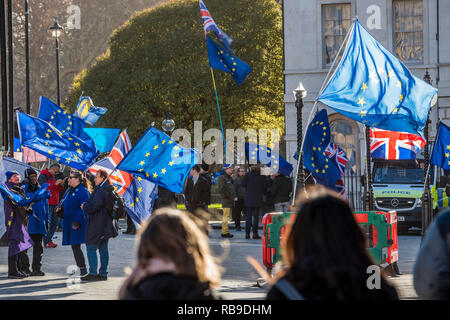 Westminster, Londra, Regno Unito. 8 Jan 2019. Il SODEM, pro UE, protesta persiste al di fuori del Parlamento come il voto su Theresa Maggio il piano è confermato per la prossima settimana. Credito: Guy Bell/Alamy Live News Foto Stock