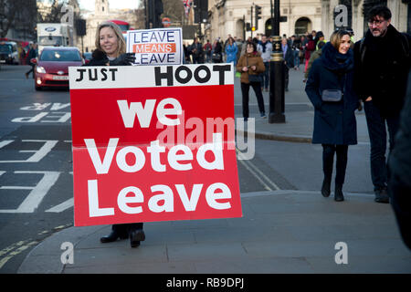 Londra, Regno Unito. 08 gen 2019. Westminster, Londra, Inghilterra, Regno Unito. Pranzo protestare contro Brexit. Una donna che tiene un cartello che diceva "abbiamo votato lasciare'. Credito: Jenny Matthews/Alamy Live News Foto Stock