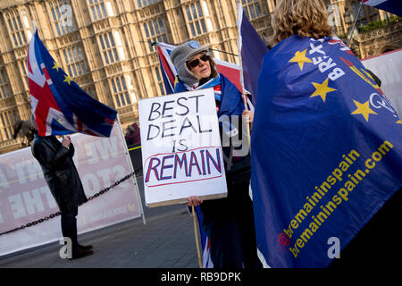 Londra, Regno Unito. 08 gen 2019. Westminster, Londra, Inghilterra, Regno Unito. Pranzo protestare contro Brexit. Una donna che tiene un cartello che diceva "best deal è rimanere". Credito: Jenny Matthews/Alamy Live News Foto Stock