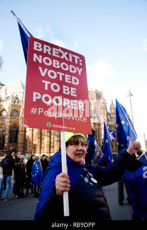 Londra, Regno Unito. 08 gen 2019. Westminster, Londra, Inghilterra, Regno Unito. Pranzo protestare contro Brexit. Una donna che tiene un cartello che diceva "Brexit. Nessuno ha votato per essere più povere". Credito: Jenny Matthews/Alamy Live News Foto Stock