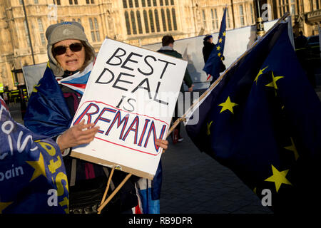 Londra, Regno Unito. 08 gen 2019. Westminster, Londra, Inghilterra, Regno Unito. Pranzo protestare contro Brexit. Una donna che tiene un cartello che diceva "best deal è rimanere". Credito: Jenny Matthews/Alamy Live News Foto Stock