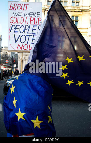 Londra, Regno Unito. 08 gen 2019. Westminster, Londra, Inghilterra, Regno Unito. Pranzo protestare contro Brexit. Una targhetta dice 'Brexit - ci erano vecchi un cucciolo. Voto popolare ora'. Credito: Jenny Matthews/Alamy Live News Foto Stock