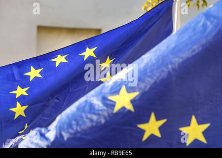 Westminster, Londra, Regno Unito. 08 gen 2019. Pro- e Anti-Brexit manifestanti continuano a dimostrare al di fuori della sede del parlamento di Westminster con bandiere e cartelli e canti. Forze di polizia hanno notevolmente aumentato la loro presenza a seguito di incidenti di aggressione di ieri. Credito: Imageplotter News e sport/Alamy Live News Foto Stock